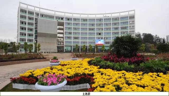 赣州4a级以上国有旅游景区,江西赣州的旅游景区有哪些