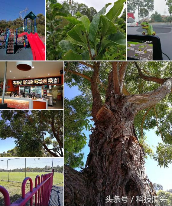 pixel和华为手机测评,外媒评华为p70