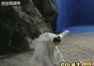 深扒影视圈背后你不知道的*规则潜**,离开特效的爱豆们还好吗?