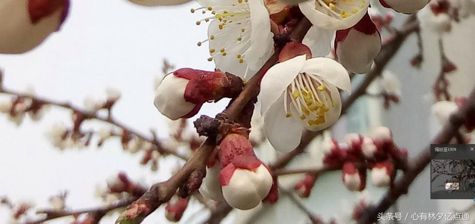 1600万全景摄像头,1600万前置摄像头好用吗