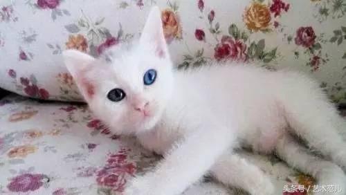 国足赢了教练反应,国足赢了教练的反应