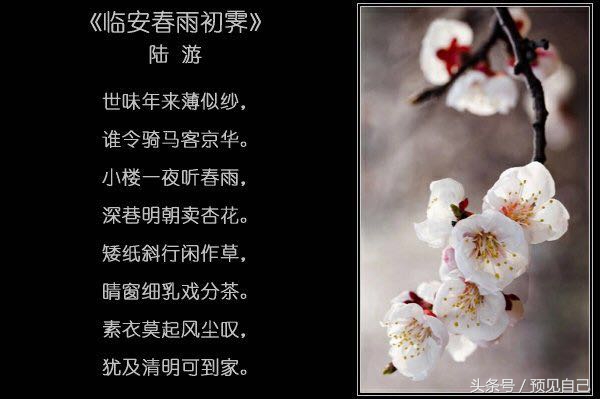 小楼一夜听春雨的下半句是什么,小楼一夜听春雨什么意思