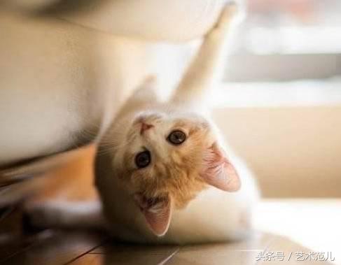 国足赢了教练反应,国足赢了教练的反应