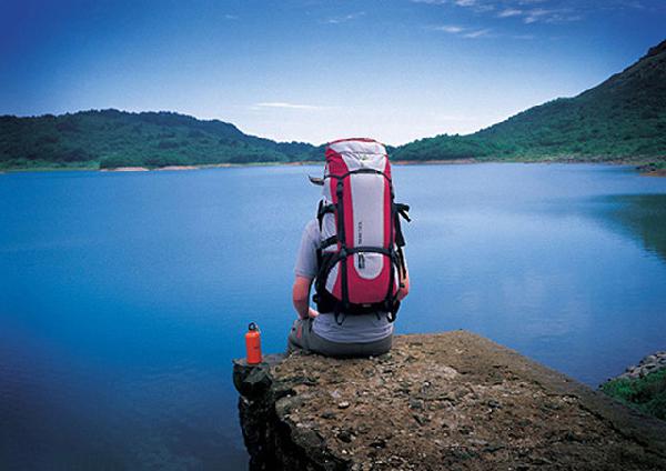 杭州悦览树书店,杭州悦览树