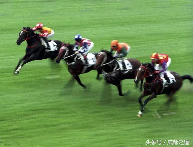 板上钉钉！17项国际赛事贯穿成都今年！牛！