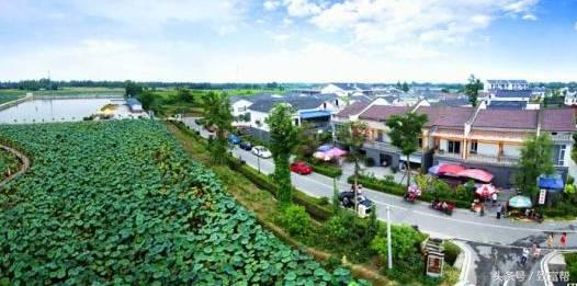 还嫌种粮不赚钱？这款新模式带您分分钟致富！