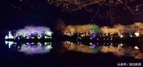 只剩最后几天，还不赶紧赏花！小心后悔一年！