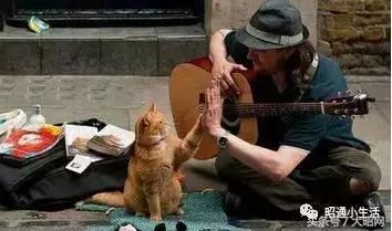 民谣里的城市有哪些,民谣中的城市