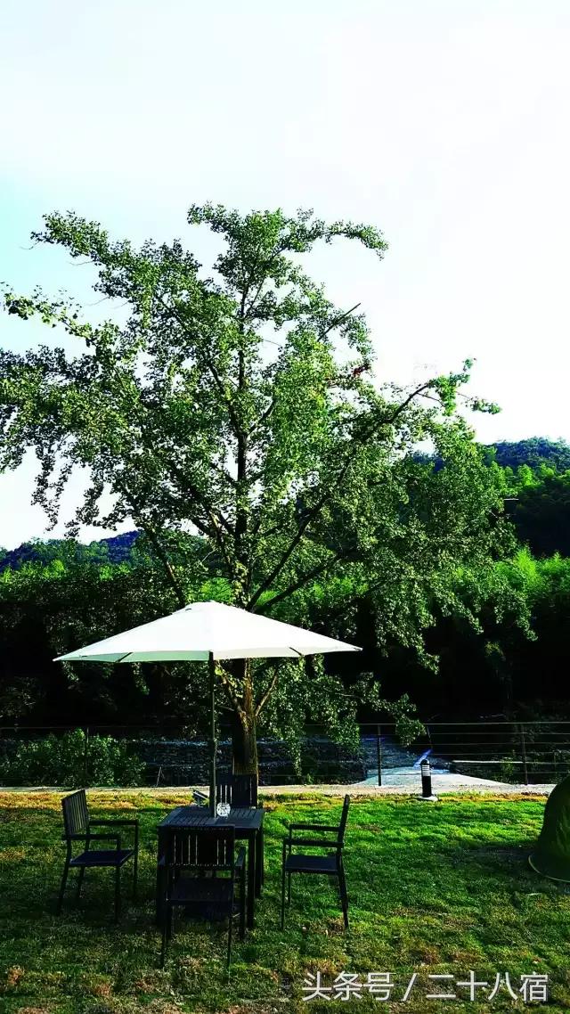 集装箱民宿散发艺术魅力,创意民宿集装箱房