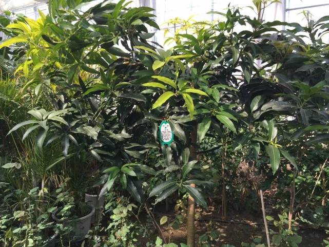 天源吉布世温泉水乐园,鞍山天源吉布世温泉一日游