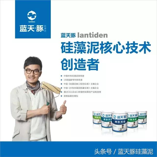 蓝天豚硅藻泥背景墙,蓝天豚硅藻泥跟多乐士比哪个更好