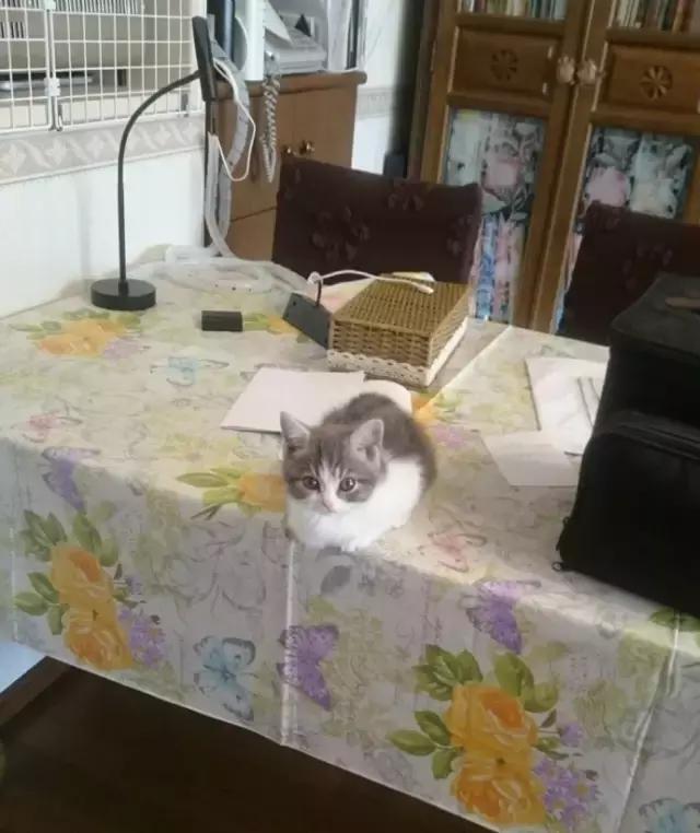 古天乐签名有灵感吗 (古天乐的签名才是经典)