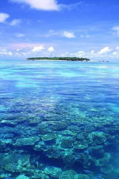 刘强东与奶茶妹妹的婚礼举办地大堡礁到底有多美？自己去看！