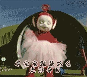 荷兰猪出门需要准备什么,荷兰猪可以独自待一个月