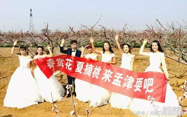 孟津桃花朵朵开，十里芳华等您来！