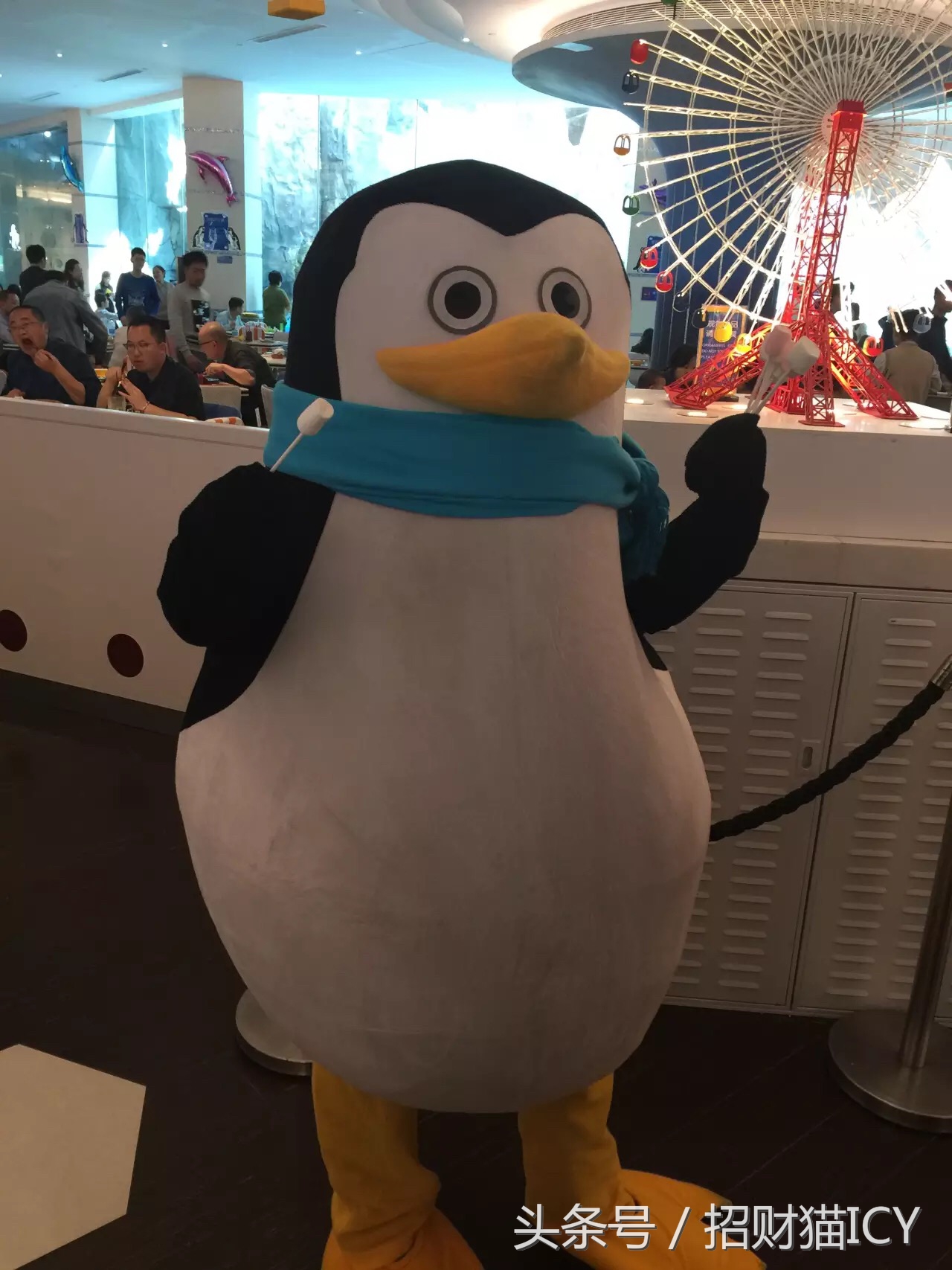 珠海长隆奇幻之旅,广州珠海长隆两天一夜攻略