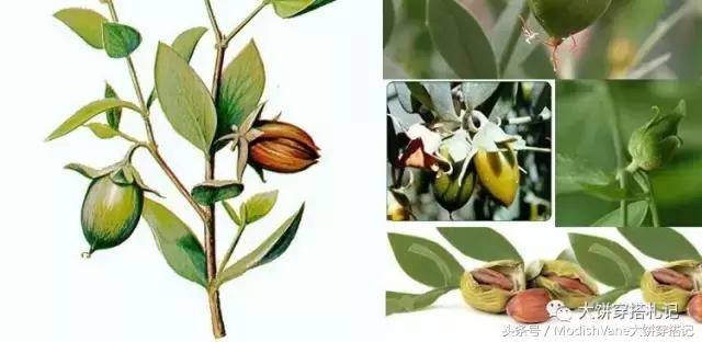 别闹了,不做身体护理你竟然敢露肤又露肉