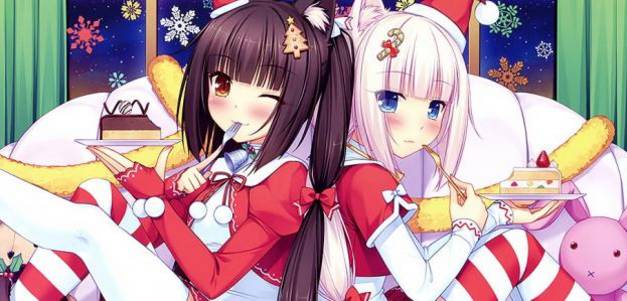 二次元与三次元霓虹,霓虹三次元和二次元