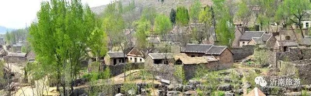 山东沂南秋日花海醉游人,沂南周边看梨花景点