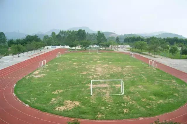 肇庆市全国特色学校,肇庆市足球特色学校