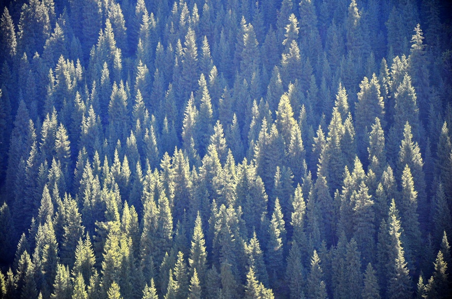 神秘又美丽的天山天池,天山天池是西王母沐浴之地吗
