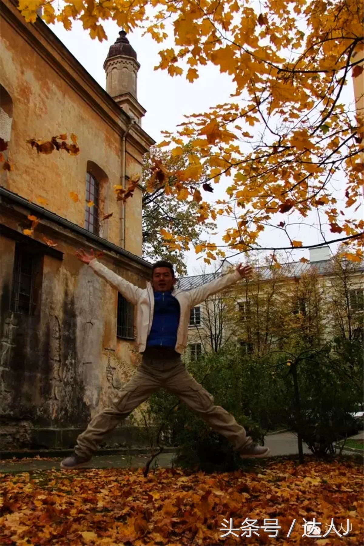 猜猜哪个国家连刺猬都有路牌？