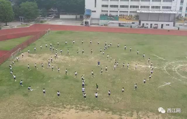 广东足球学校有哪几所,肇庆有国家重点学校吗