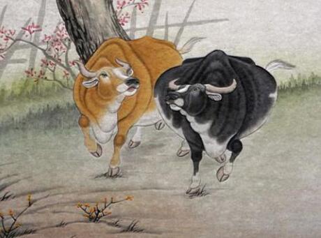 家中有这3大生肖孩子,什么生肖的宝宝会给父母带来财运