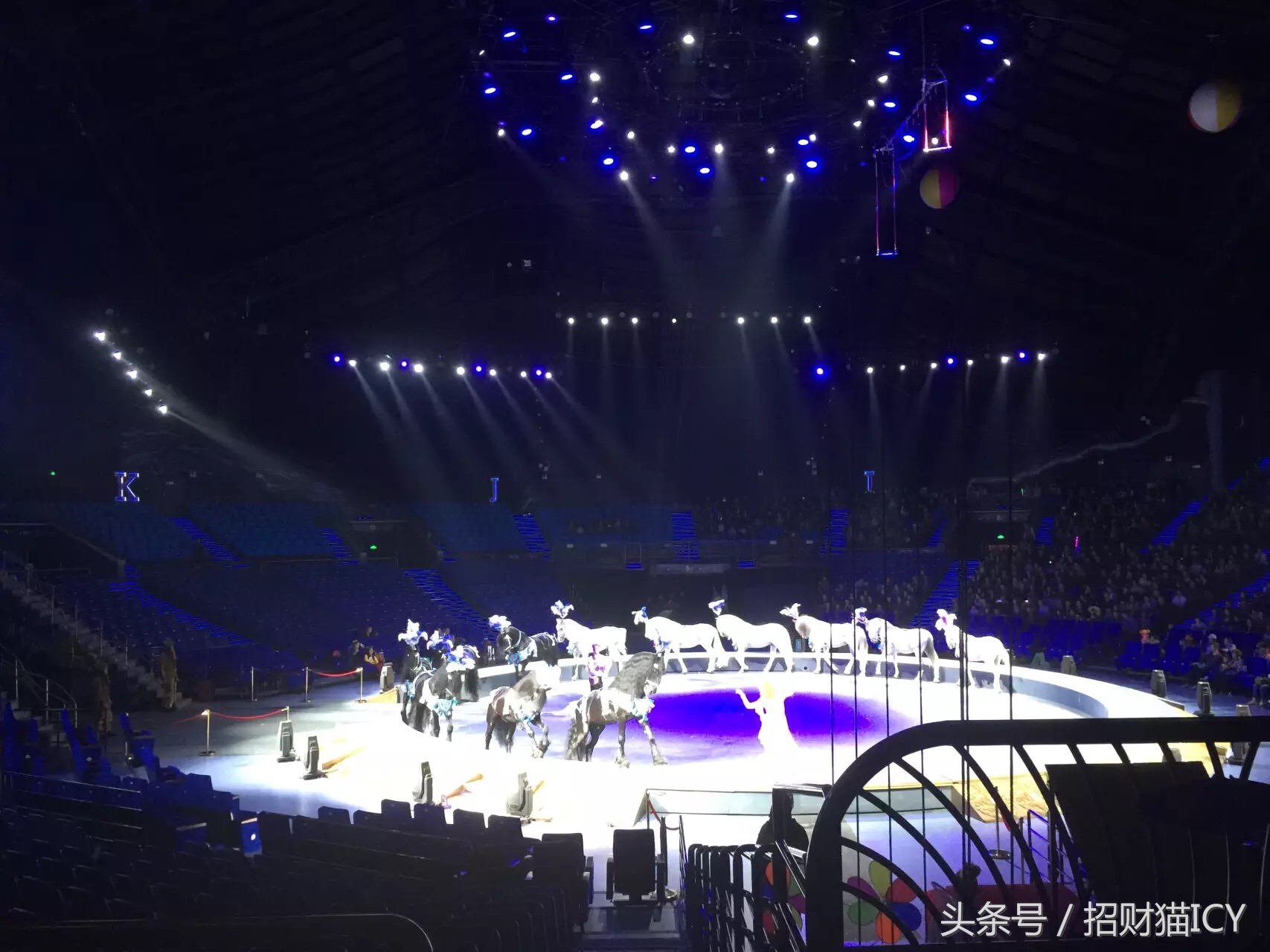 珠海长隆奇幻之旅,广州珠海长隆两天一夜攻略