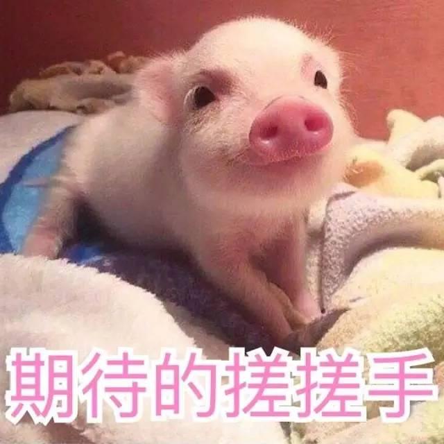 小眼睛新手第一次戴美瞳怎么戴,大直径美瞳怎么戴新手一次成功