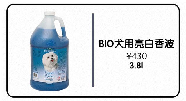 爱妖经养宠怎么玩,爱妖经