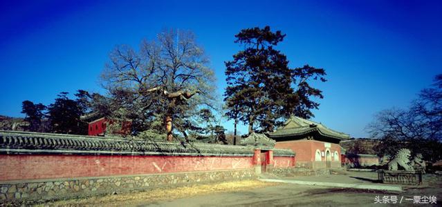 五台山一日游旅行攻略大全,五台山景区一日游最全攻略自由行