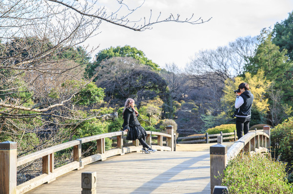 樱花烂漫几多时完整版,日本樱花节赏樱攻略视频大全