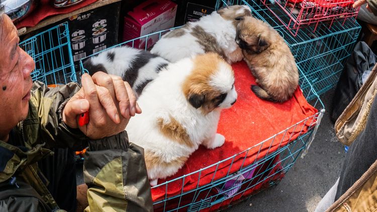 实拍：西安市井的味道