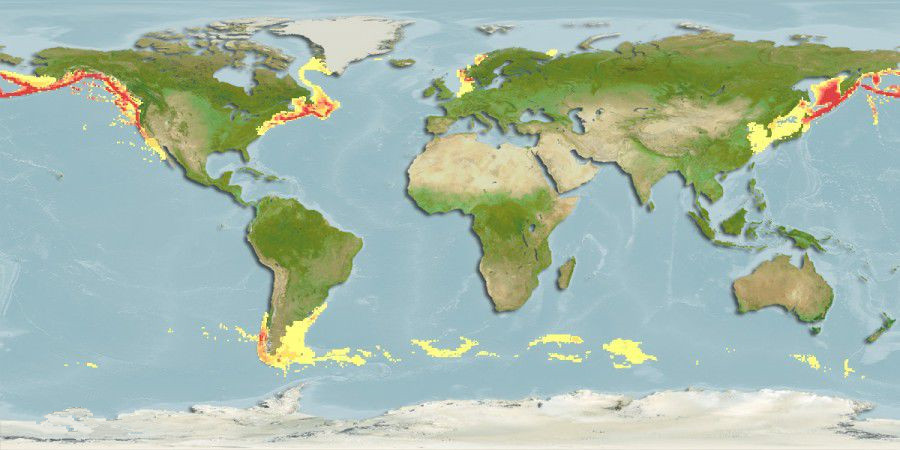 吃了假鳕鱼怎么办,假的银鳕鱼吃了会怎么样
