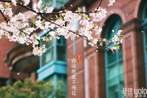 气清景明万物生长意思,清明节风和日丽万物萌生