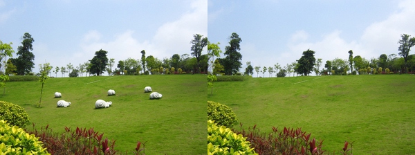 ps仿制图章如何载入图片,ps怎么用仿制图章做对称的图片