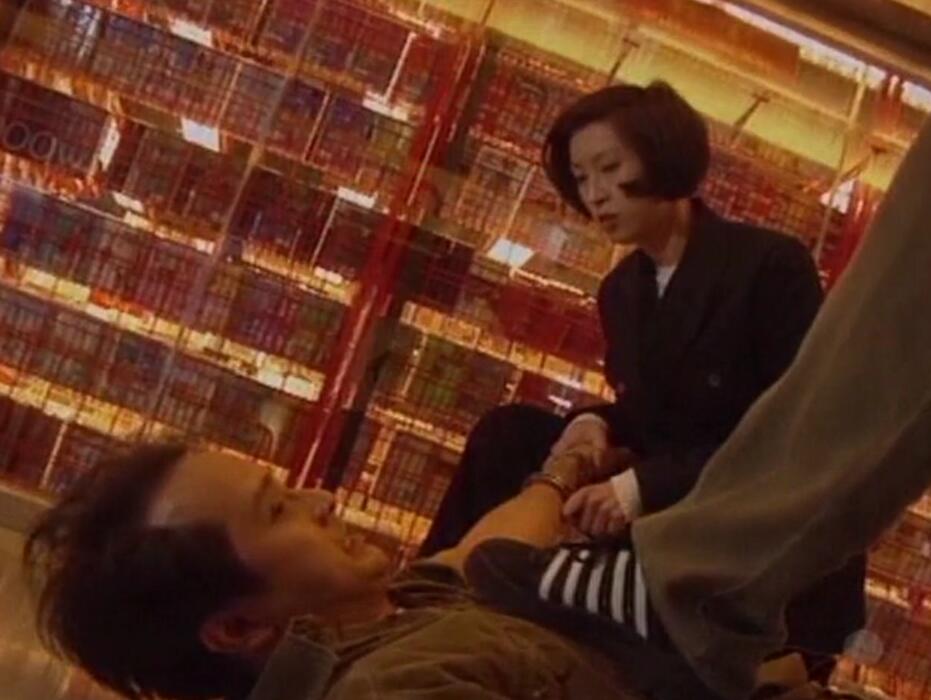 刑事侦缉档案袁天丽马成昌第五集,刑事侦缉档案袁天丽