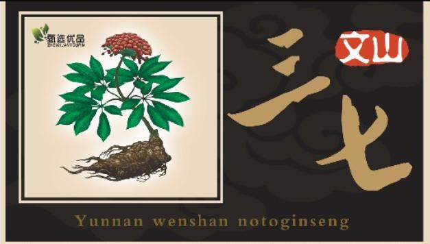 三七究竟有没有副作用和禁忌,哪些人不适合服用三七