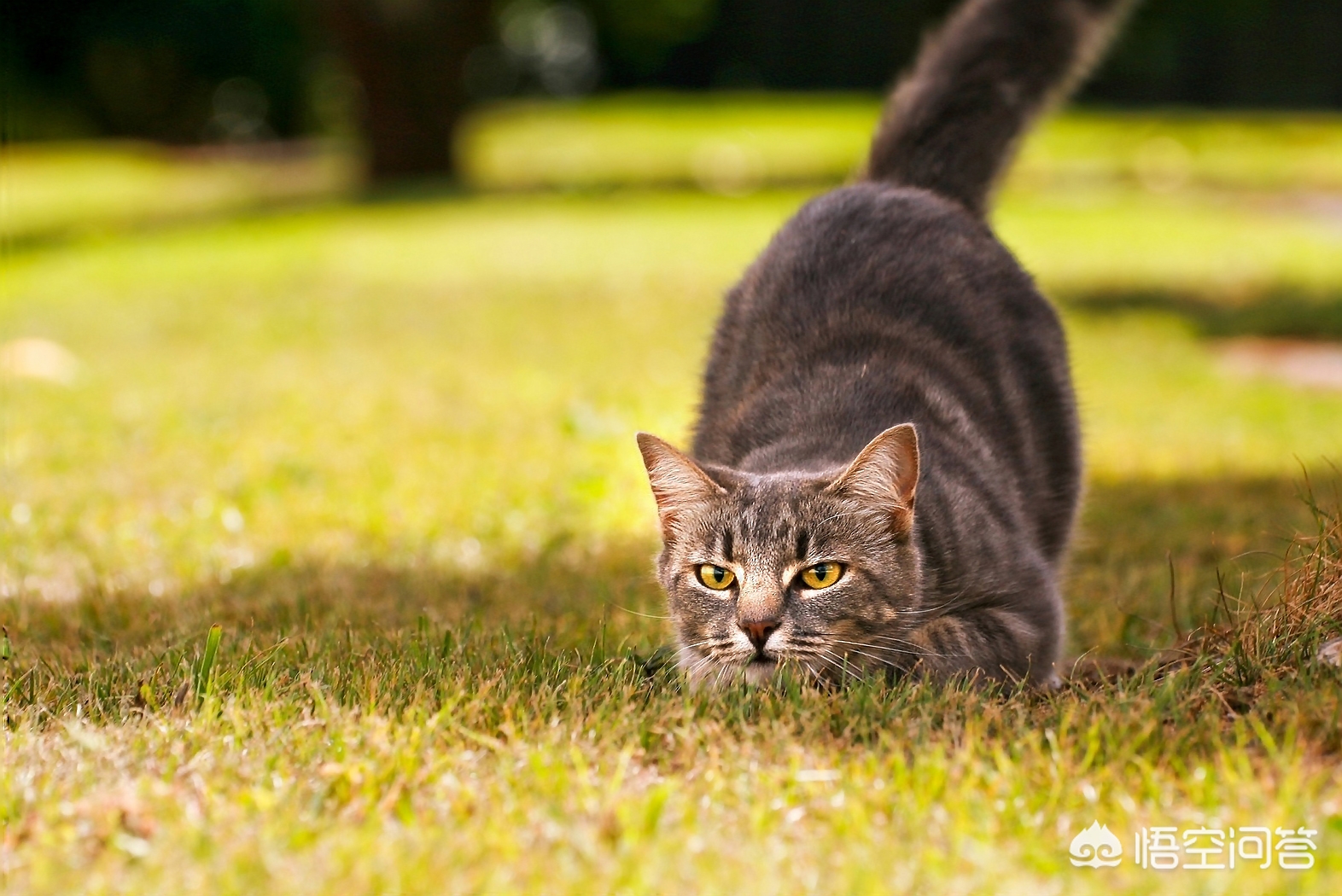 照片拍虚了ps怎么修复,拍了一张照片怎么用ps处理