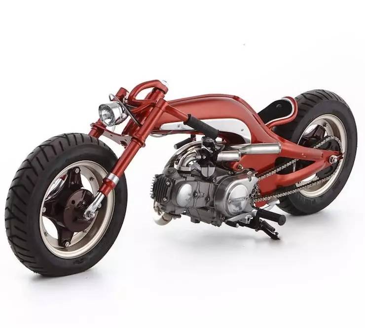 猴猴猴赛雷,猴赛雷猴子视频