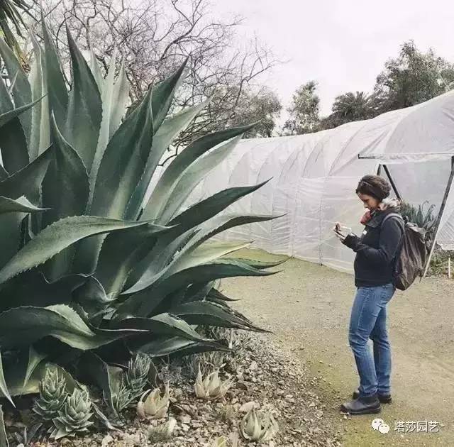 美国109岁老奶奶,109岁奶奶美国