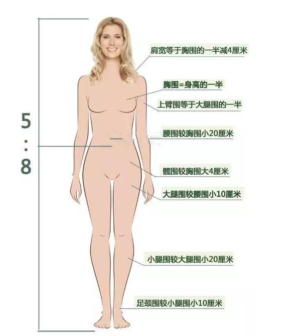 女生标准身材对比,女生标准的九种身材是什么