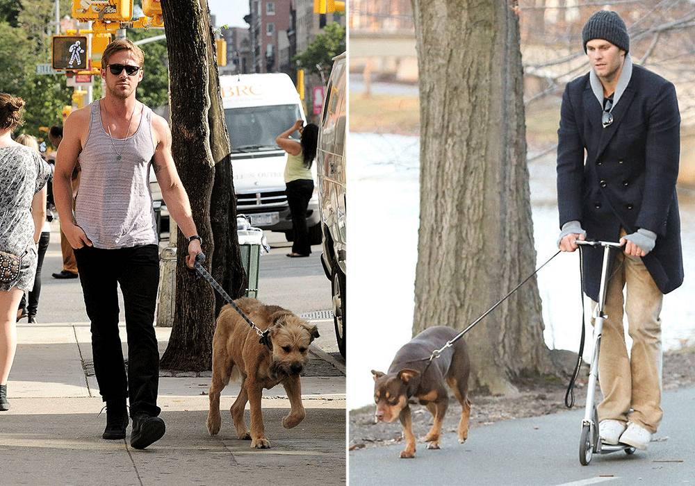 男明星荷尔蒙爆棚,被称为荷尔蒙爆棚的男明星