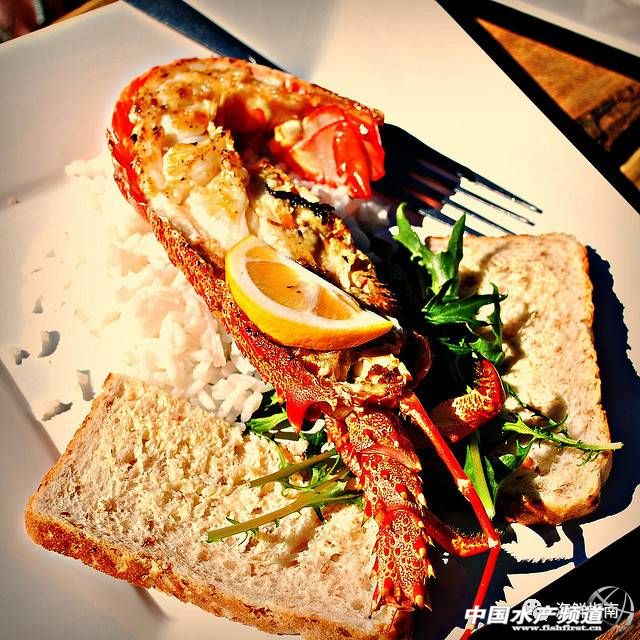 新西兰青口贝哪个好吃,鲍鱼扇贝生蚝哪个最好吃