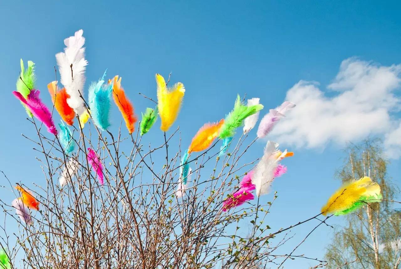 鏄ョ敯鑺辫姳鏃ュ父,鏄ョ敯鑺辫姳鑻辫