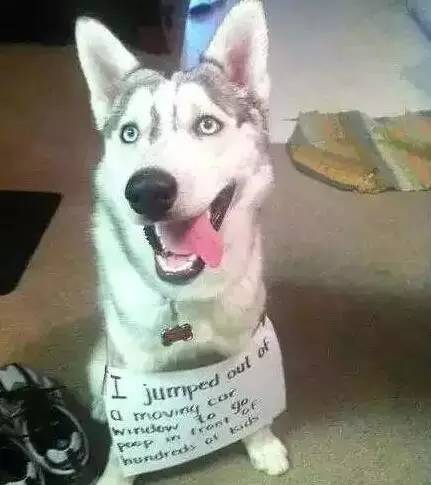 原谅我这一生不羁放纵完整版,原谅我这一生不羁放纵群星版