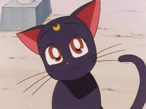 不用吃土也能买得起的大牌口红,如何买平价又好用的全套彩妆呢