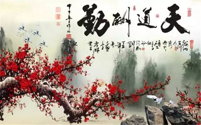 养绿萝注意事项,绿萝怎么养