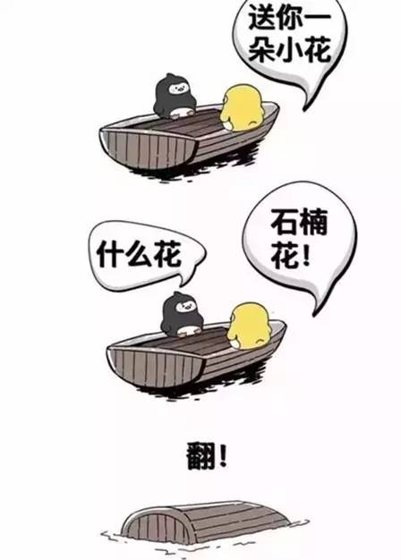 校园开启.avi模式，全因那石楠花开